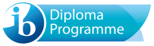 dp-programme-logo-en